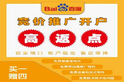 行业领先企业的sem账户竞价运营策略